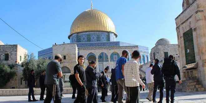 الاحتلال الإسرائيلي يواصل انتهاك حرمة مقبرة (باب الرحمة) المتاخمة للمسجد الأقصى