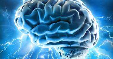 باحثون يطورون شريحة إلكترونية تزرع فى الدماغ للوقاية من نوبات الصرع