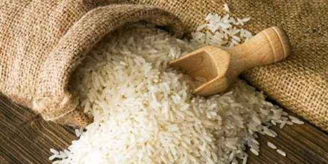 رحب شحاتة: مخزون الأرز المحلى يكفى حتى أكتوبر 2019