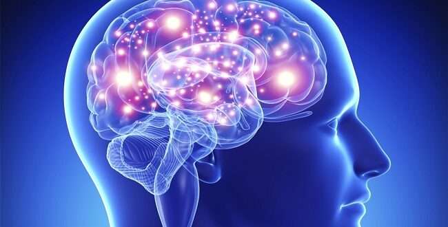 شركة “نيورولينك” للرقائق الدماغيةتعلن عن استعدادها لإطلاق تجارب إكلينيكية لزراعة جهاز على هيئة رقائق في أدمغة البشر